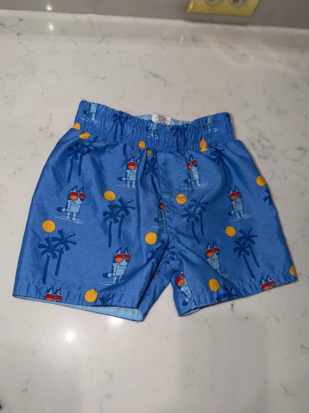 Bluey Boys Swim Trunks